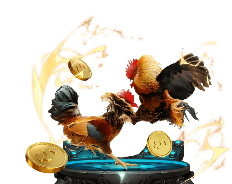 Tổng hợp các lợi ích khi tham gia ip88